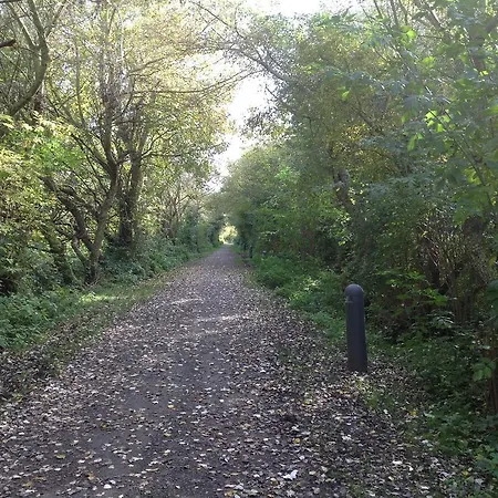 Kokkelikoo בית נופש