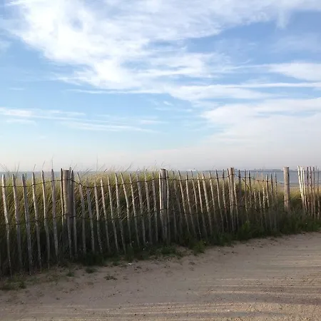 Kokkelikoo Tatil Evi Blankenberge