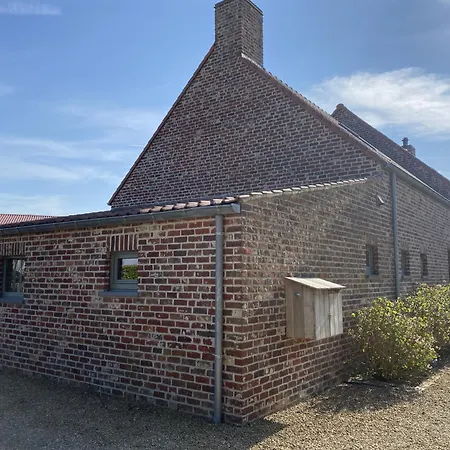 Kokkelikoo * Blankenberge