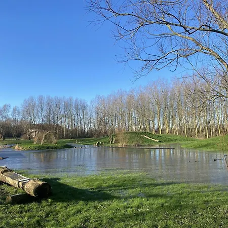 Kokkelikoo Blankenberge