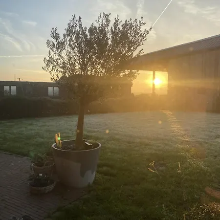 Tatil Evi Kokkelikoo