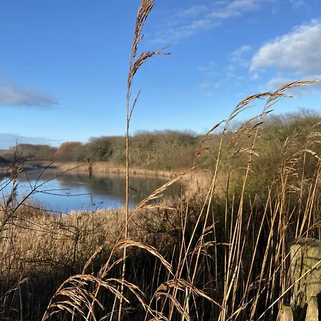 Kokkelikoo בית נופש *