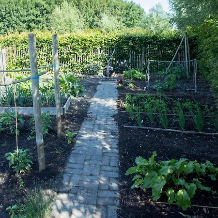 Prázdninový dům Kokkelikoo Blankenberge