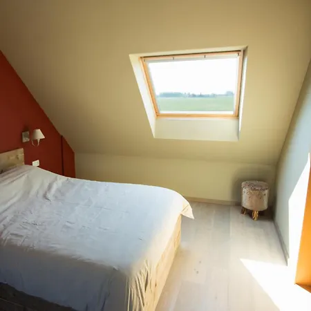 Tatil Evi Kokkelikoo