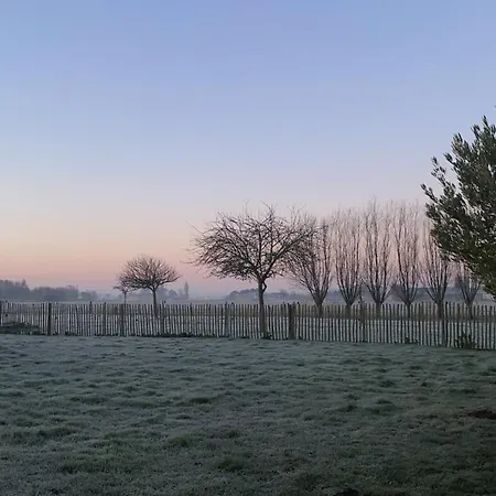 Kokkelikoo בלנקנברג