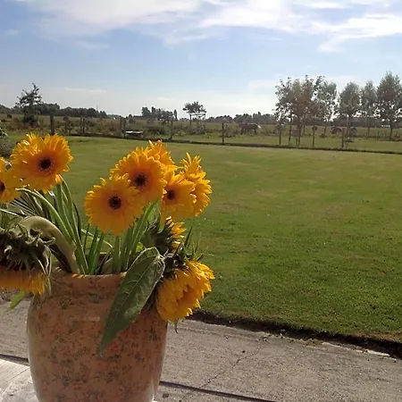 Tatil Evi Kokkelikoo
