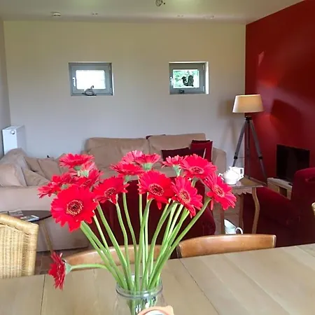Tatil Evi Kokkelikoo