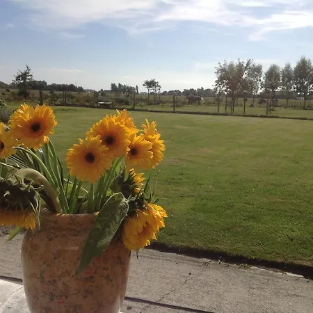 Kokkelikoo Tatil Evi