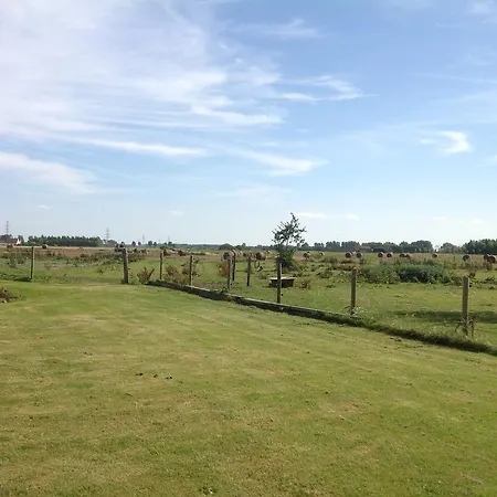 Kokkelikoo Blankenberge