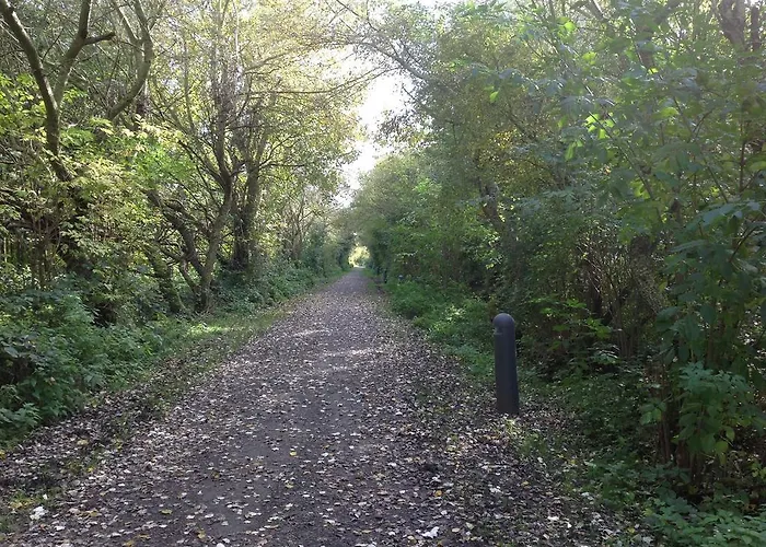 Kokkelikoo Σπίτι διακοπών