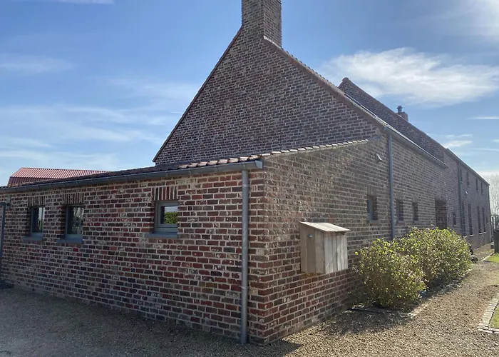 Kokkelikoo * Blankenberge