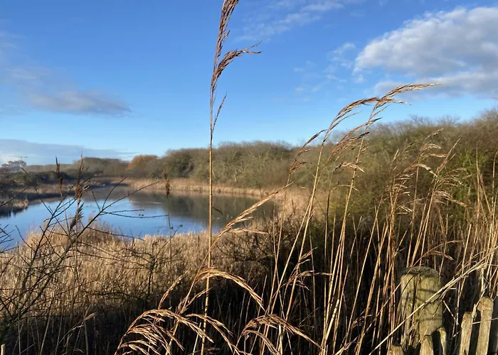 Kokkelikoo Σπίτι διακοπών *