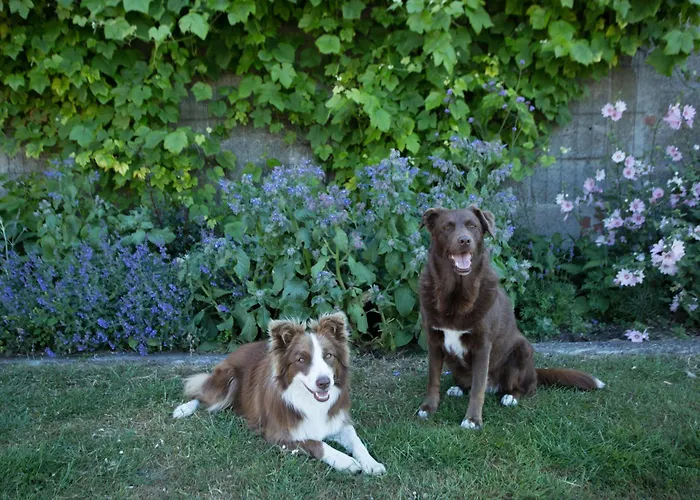 Kokkelikoo Σπίτι διακοπών *