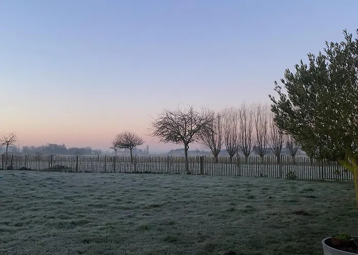 Kokkelikoo Blankenberge