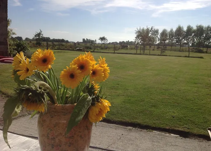 Kokkelikoo Σπίτι διακοπών